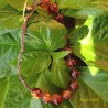 Bracciale shamballa regolabile rosso - oro, chiusura a bottone, perle vetro crackle